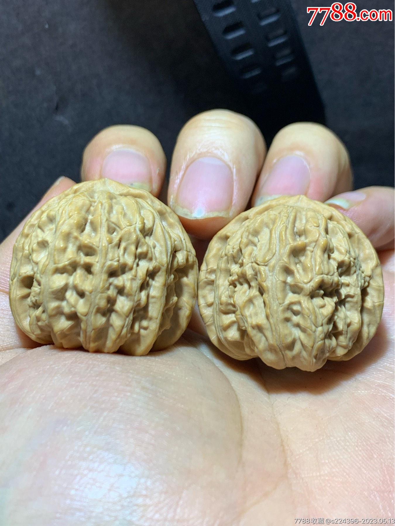 精美老树白狮子文玩核桃一对！_文玩核桃_文玩迷福利社【7788收藏__收藏热线】