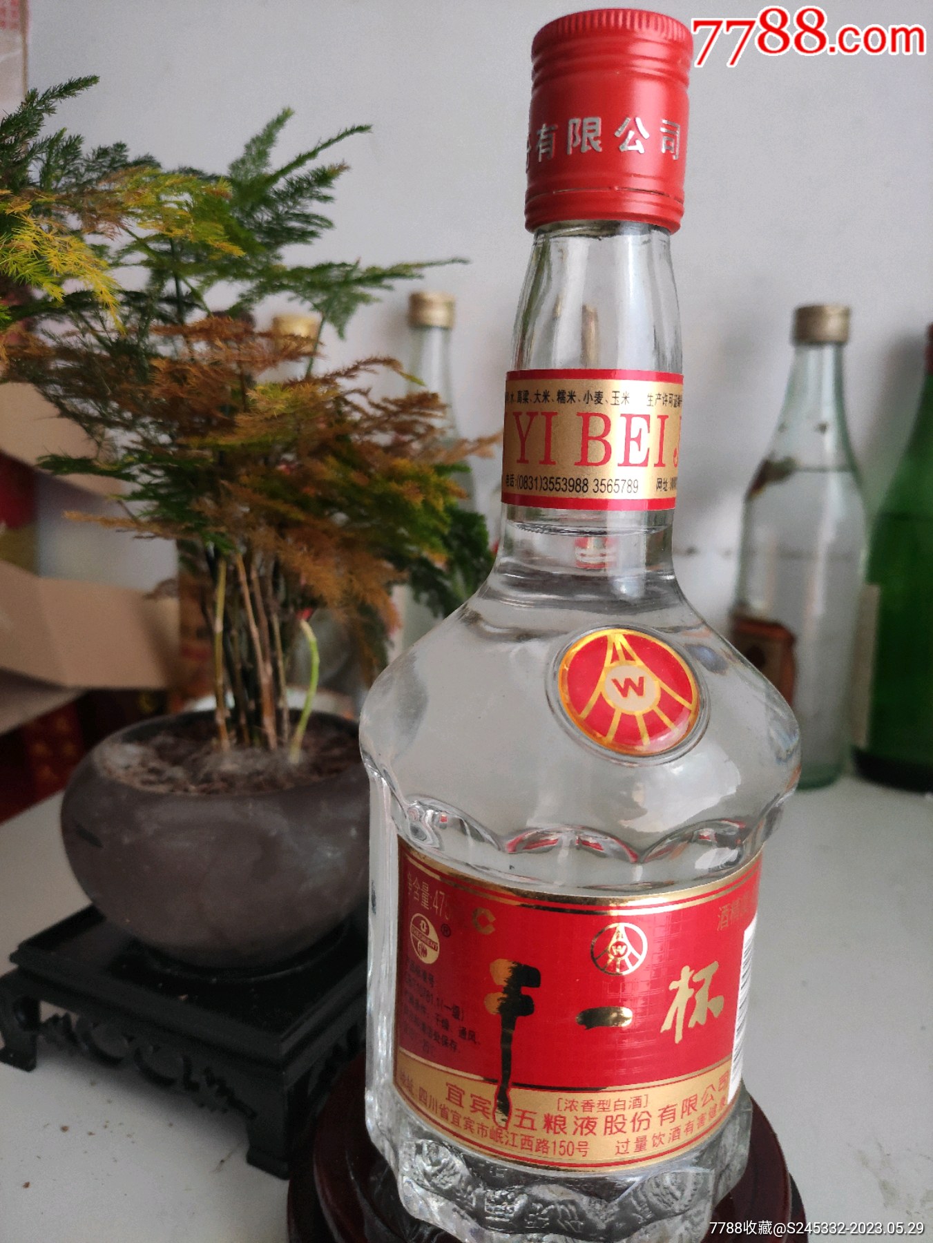 五粮液干一杯绵柔图片