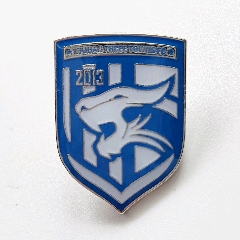 足球徽章,足球胸针,足球队徽纪念品,中超,武汉三镇