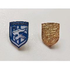 足球徽章,足球胸针,足球队徽纪念品,中超,武汉三镇,2枚打包