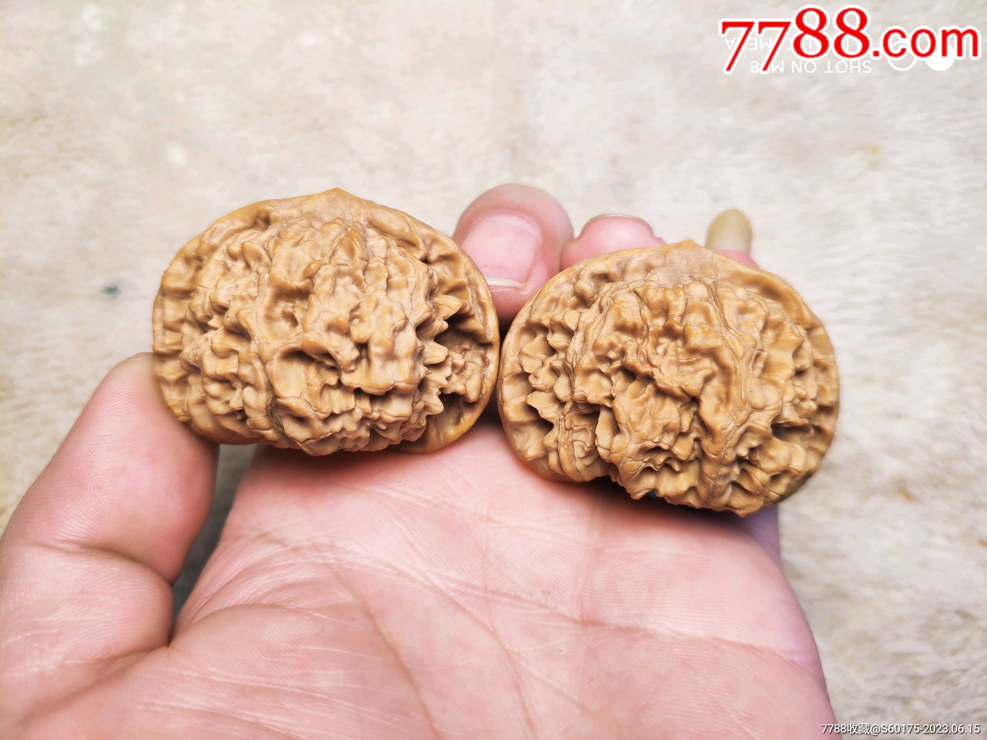 文玩核桃麒麟纹大官帽一对