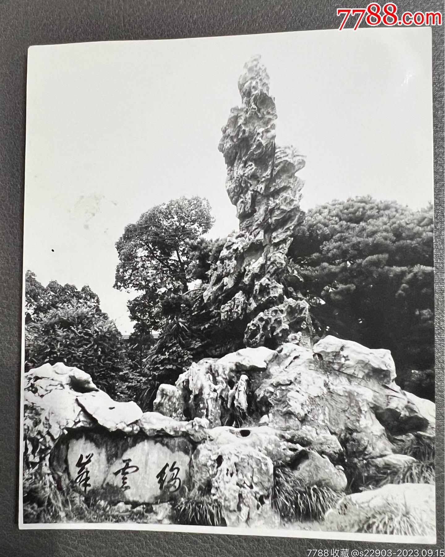 宋韵文化八十年代拍摄的照片江南三大奇石之一的绉云峰杭州植物园中