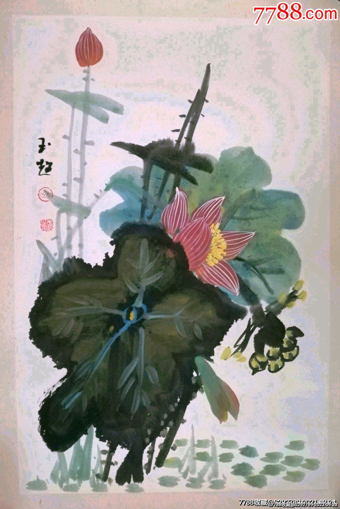 河南省美协会员京岚画院副院长胡玉超手绘泼墨重彩荷花真迹一幅低价起