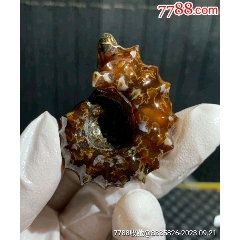 7788人民币收藏>首页>拍卖>动植物化石>特殊图案天然化石,动植物化石