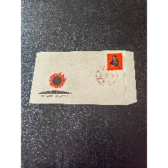 首輪生肖猴郵票總公司首日封(zc35597690)