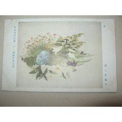 民國時期日本明信片美術作品《花》溝上游龜