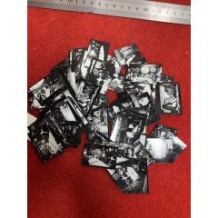 著名畫家劉海粟等照片一組120張合拍