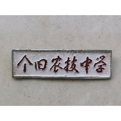 个旧农技中学