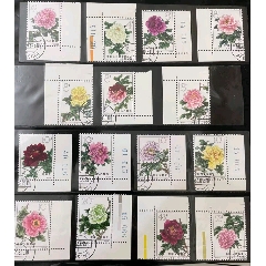 暫無圖片