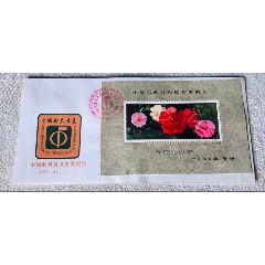 暫無圖片