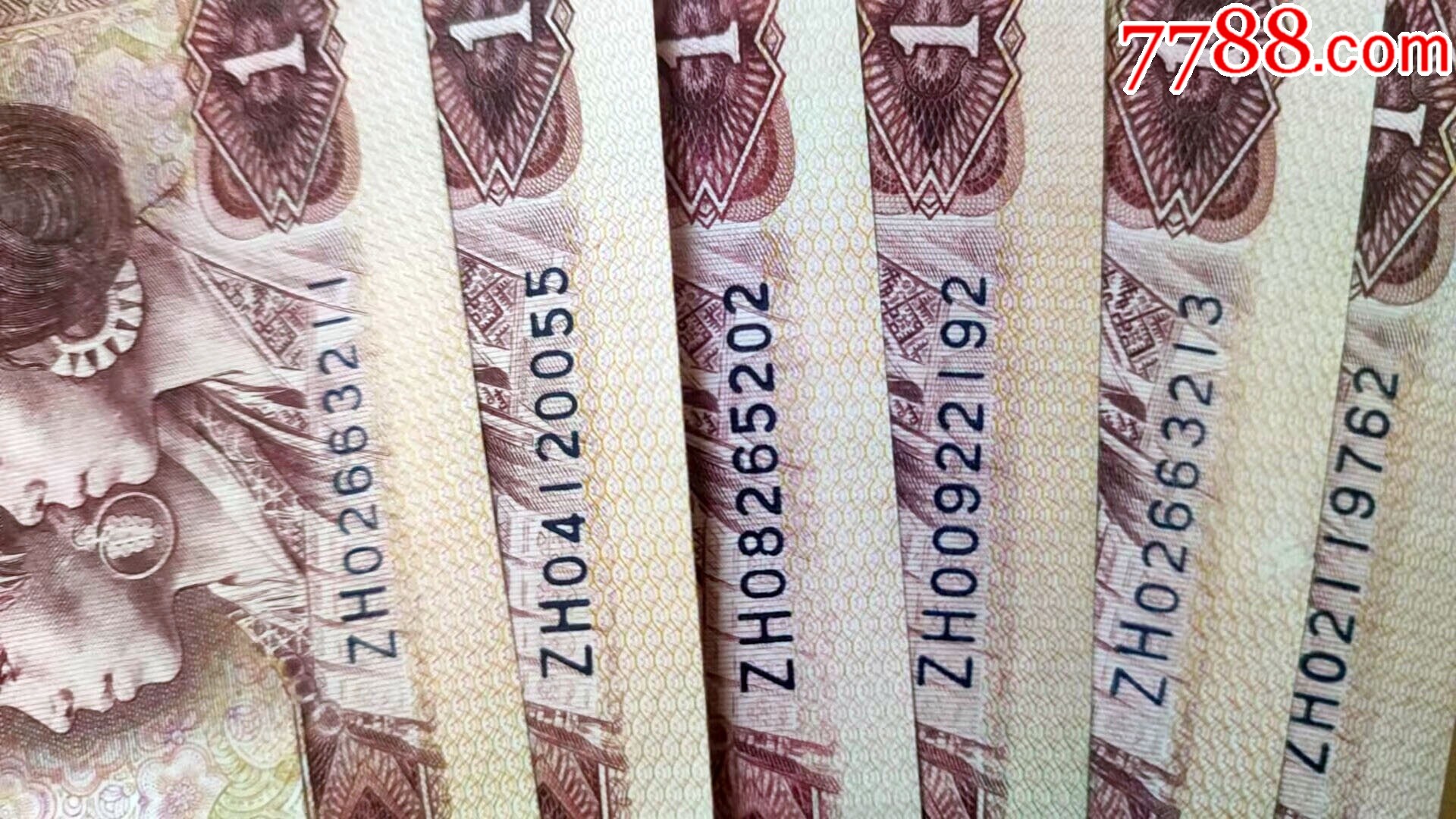 珍稀801红金龙补号6张合拍