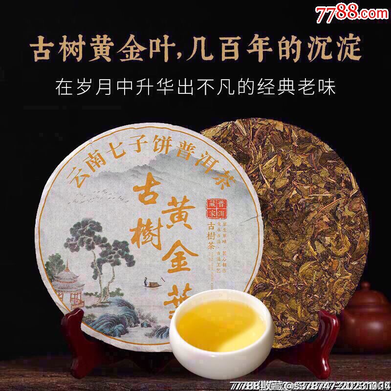 古树黄金叶357克生茶_其他茶叶_恒源店【7788收藏__收藏热线】