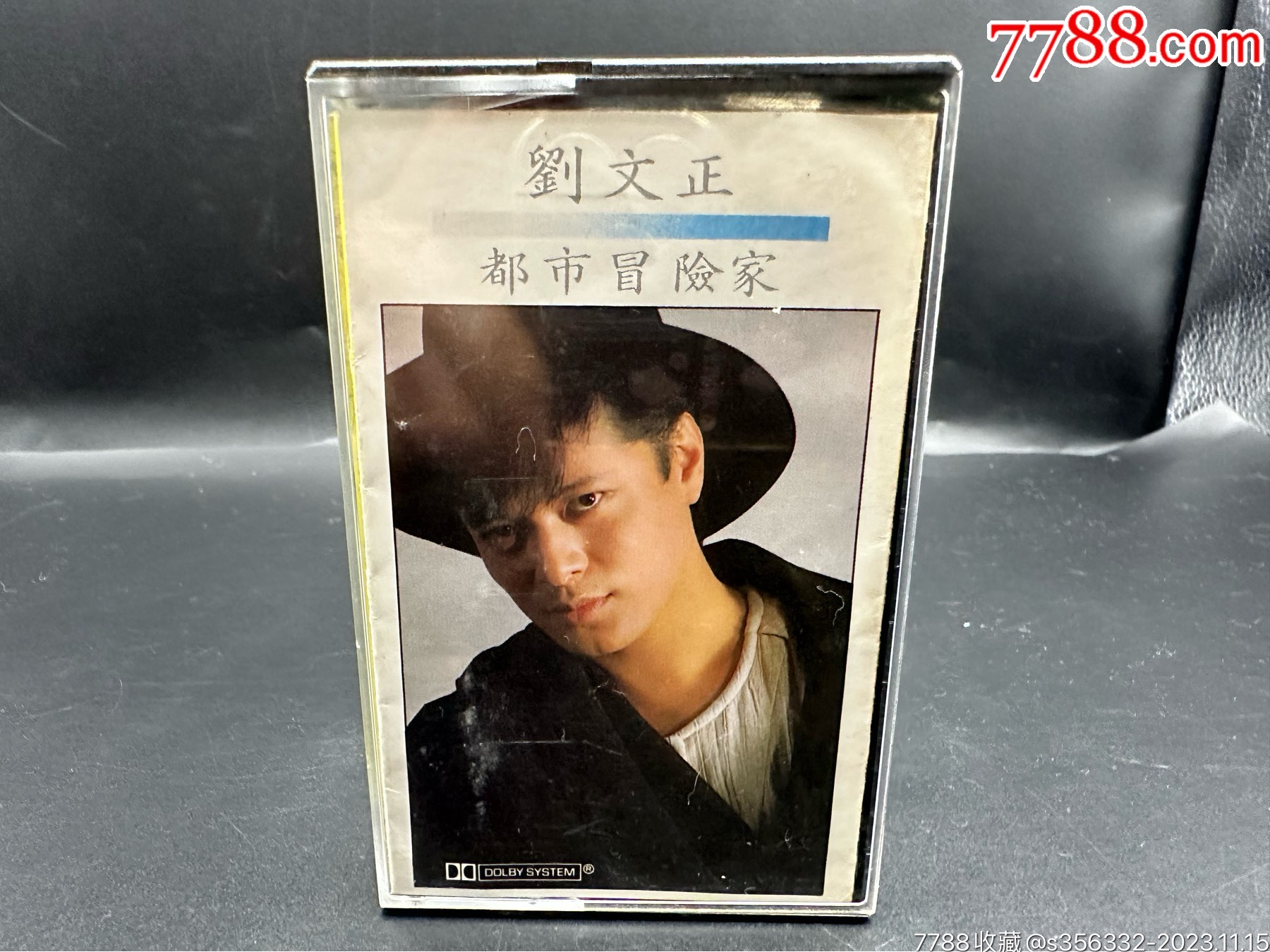 刘文正都市冒险家