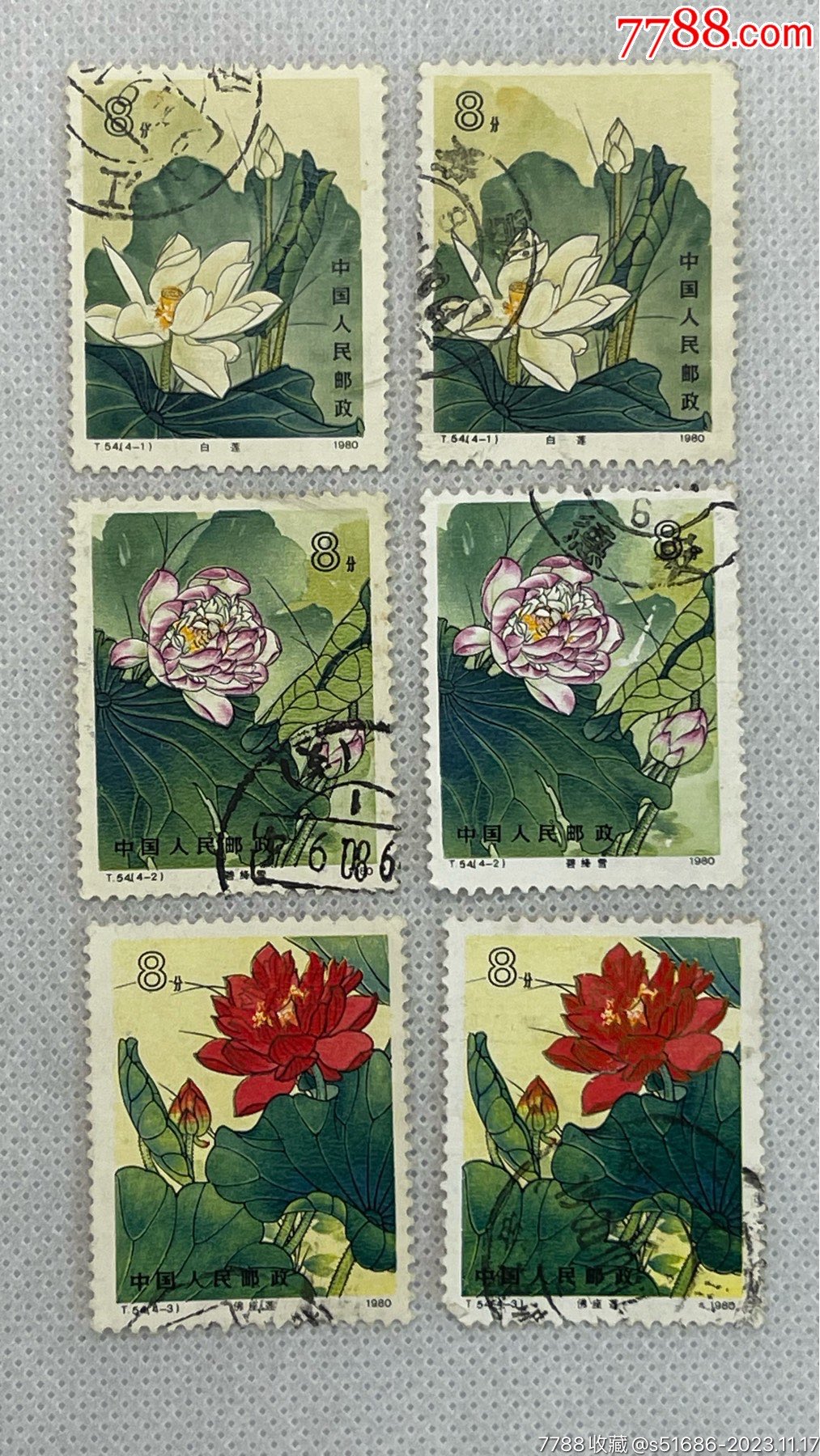 t54·荷花·6枚_新中国邮票_龙泉邮币社【7788收藏__收藏热线】
