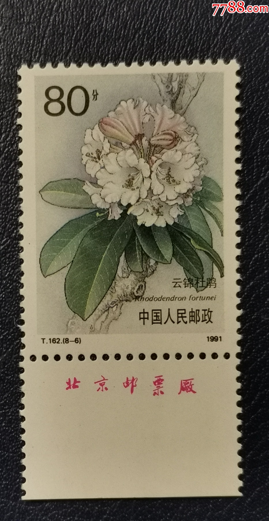 com)>首页>拍卖>新中国邮票>t162杜鹃花-6)厂名_价格4元【龙行天下