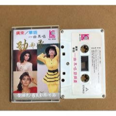 劉君兒，羅美貞，蔡可荔…勁與柔（新馬版）
