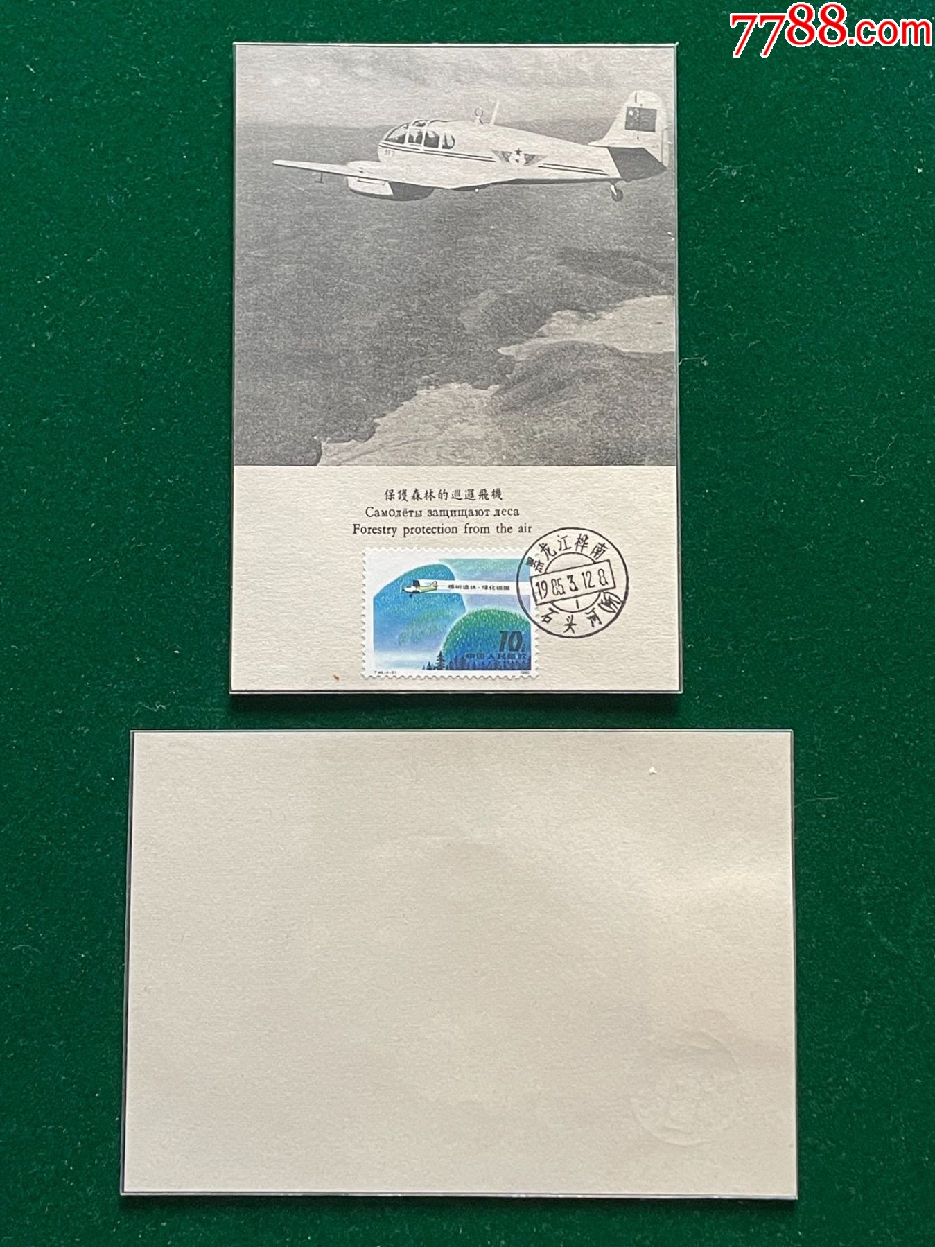 t483保护森林图画极限片