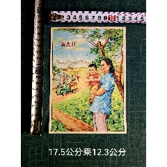 老宣传画收藏：《新農村》(au36432456)