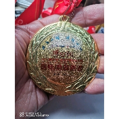 2011年第14届国际泳联上海世锦赛纪念徽章全新一套限量500套这是第110