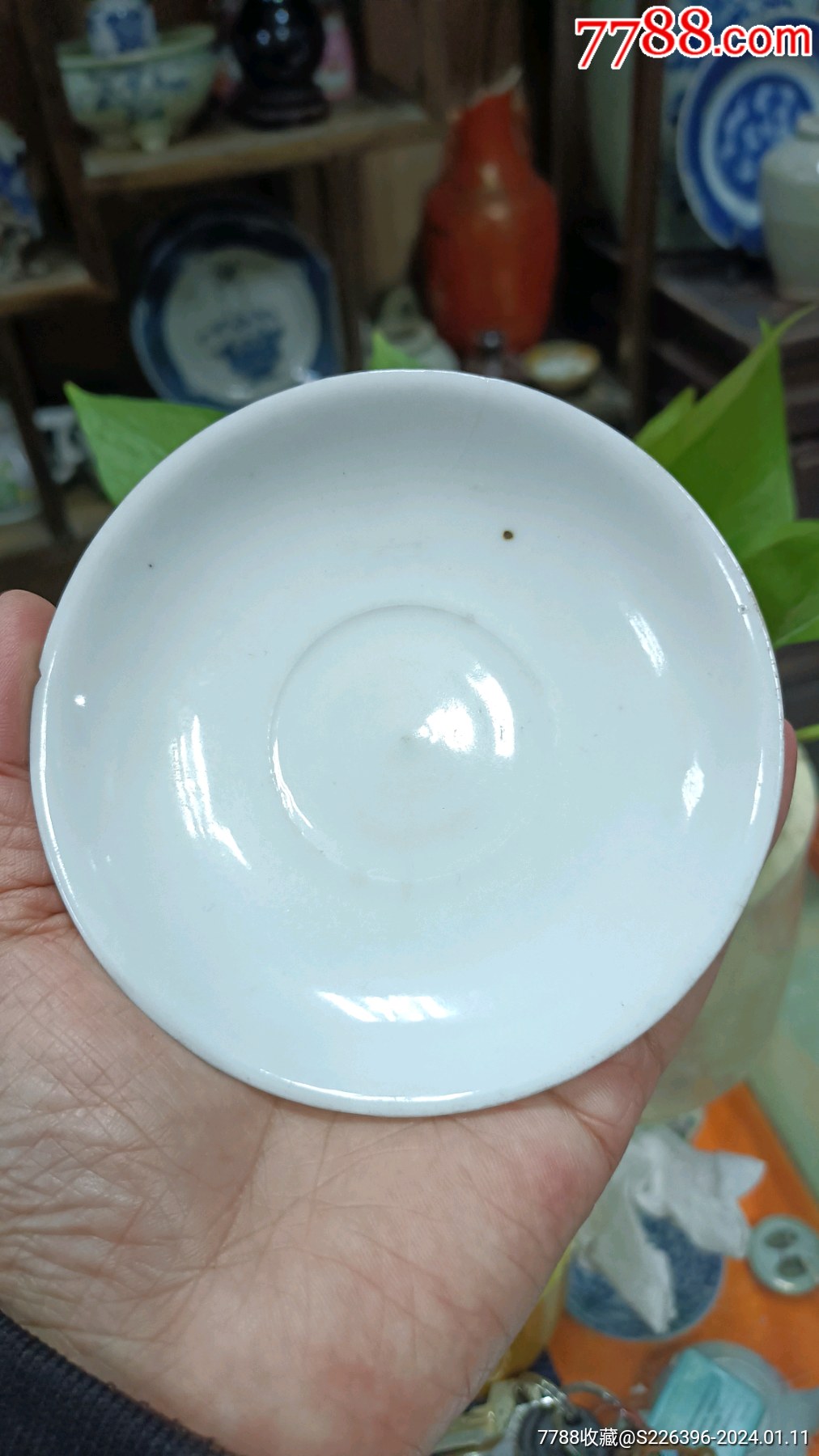 清代,景德镇窑白釉碟-价格:160元-au36587167-单色白瓷 -加价-7788