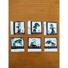 邮票t96拙政园1984年