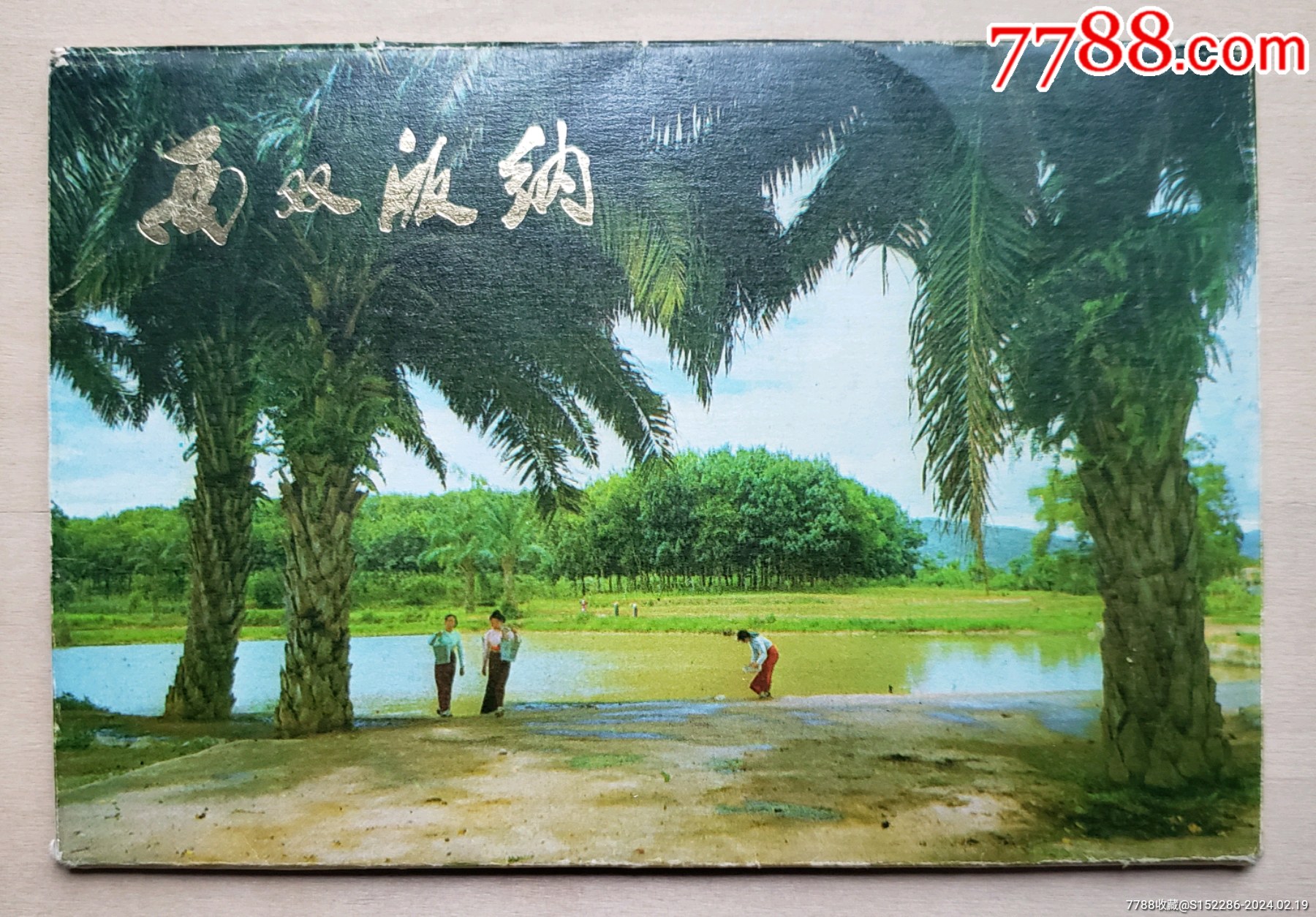 76年云南美3西双版纳明信片10全