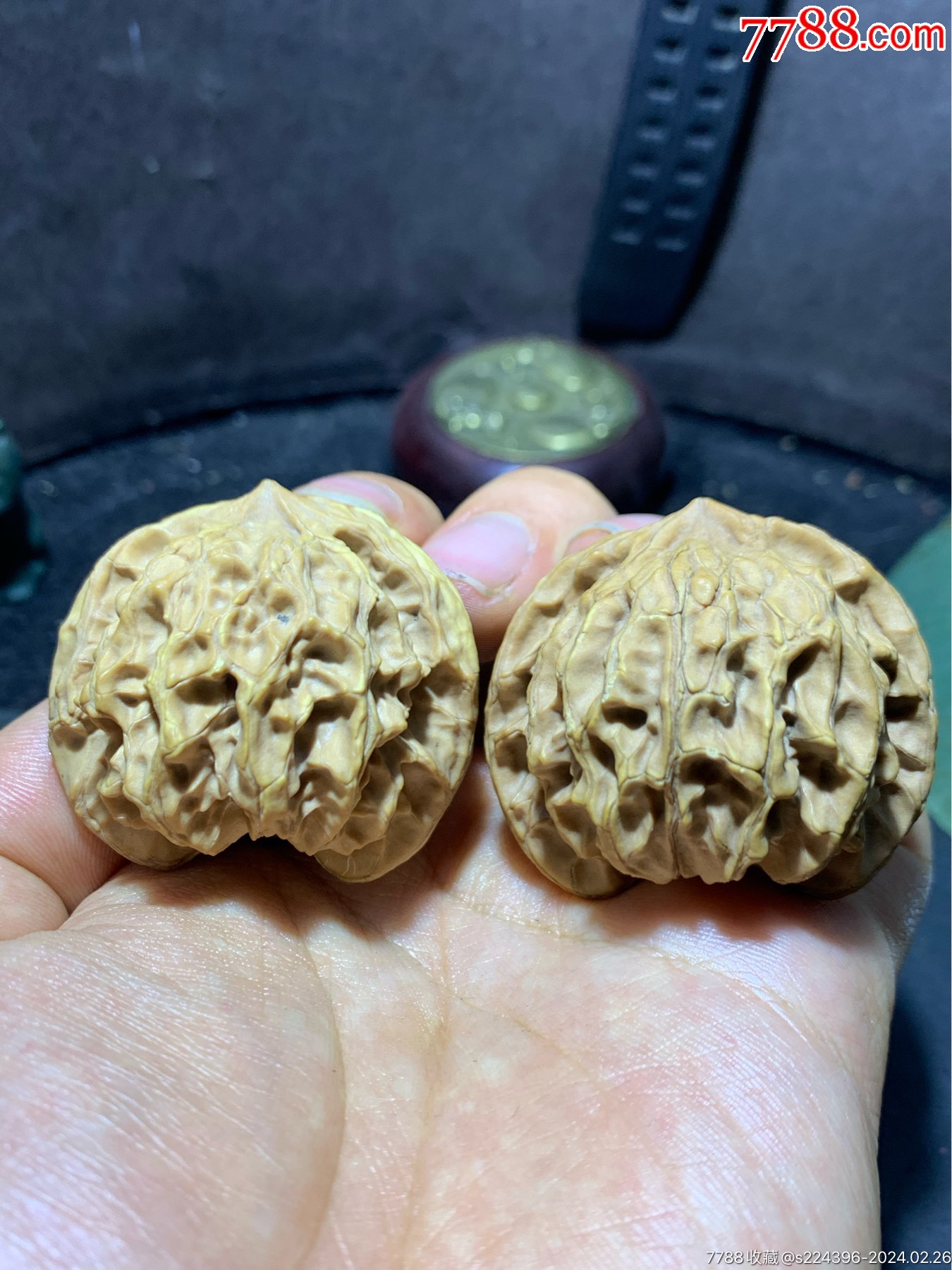 仅此一对野生公子帽文玩核桃麻核桃一对