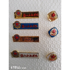 江苏省常州市金坛市涑渎中心小学_校徽/毕业章_图片收藏_回收价格