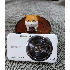 索尼数码摄像机