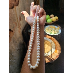 天然珍珠项链一条