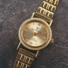 百年品牌美国华生古董表高级收藏款53钻高级机芯限量版_手表/腕表_健