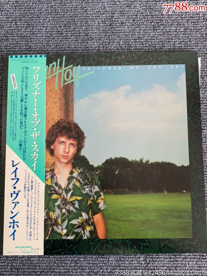 12寸lp黑胶唱片rafevanhoyprisonerofthe-老唱片/胶片-7788商城__七七