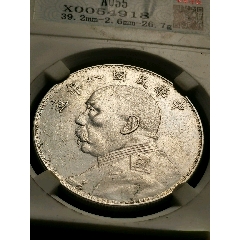 中华民国八年大头