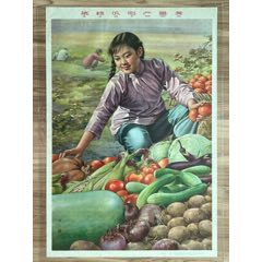 菜绿瓜肥产量多（金梅生画，获奖年画）(zc37584559)