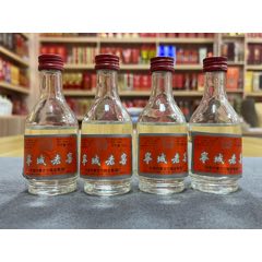 90年代宁城老窖【小酒版】四瓶(au37662099)