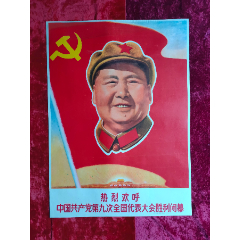 2开宣传画：热烈欢呼中国共产党第九次全国代表大会胜利闭幕