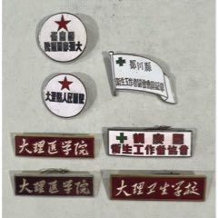 50年代到80年代云南大理医学题材徽章7枚一起拍……4个铜的，3个铝的，编号都小(zc37740356)