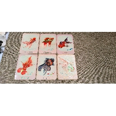 金鱼年历卡片(6张全)
