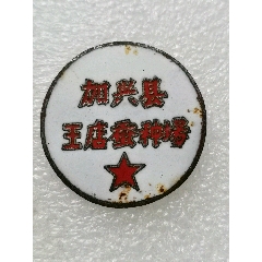 加兴县王店蚕种场徽章(zc37983544)