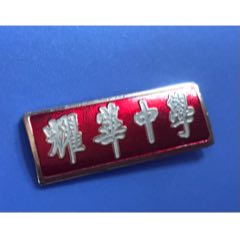 耀華中學(xué)_