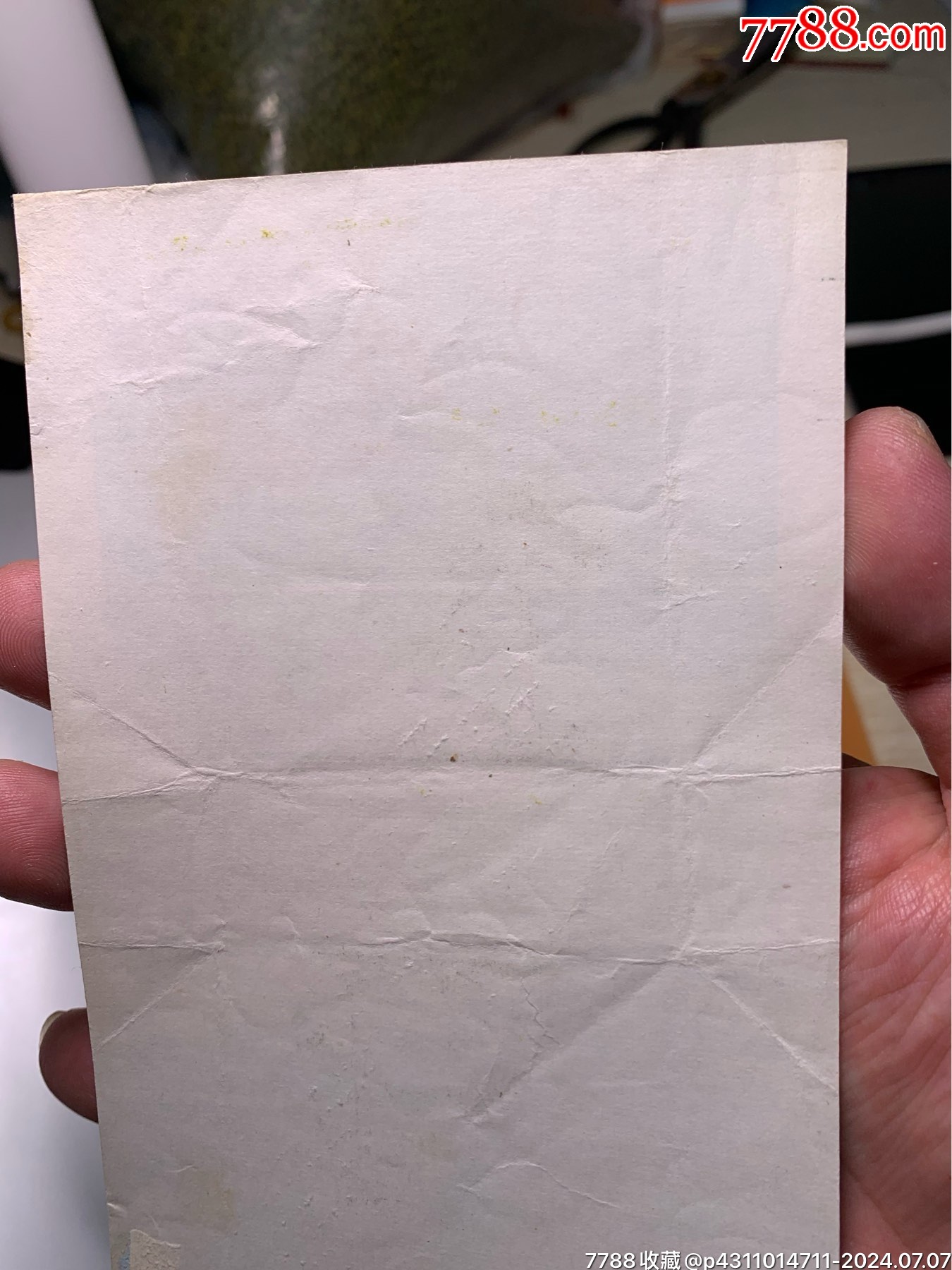 寧波青松_價(jià)格800元【特級(jí)鬲123】_第5張_