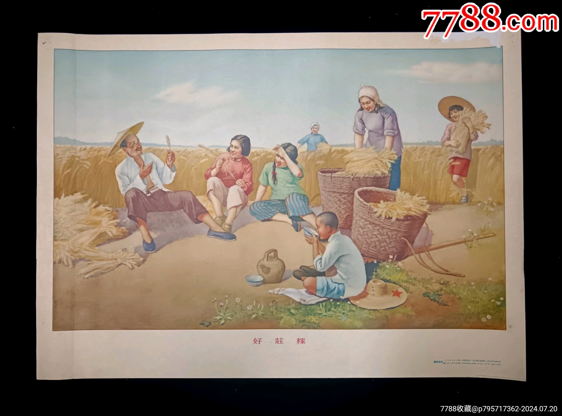 四开【好庄稼】--人美53年初版--罕见精美_宣传画_谦益斋【7788收藏__收藏热线】
