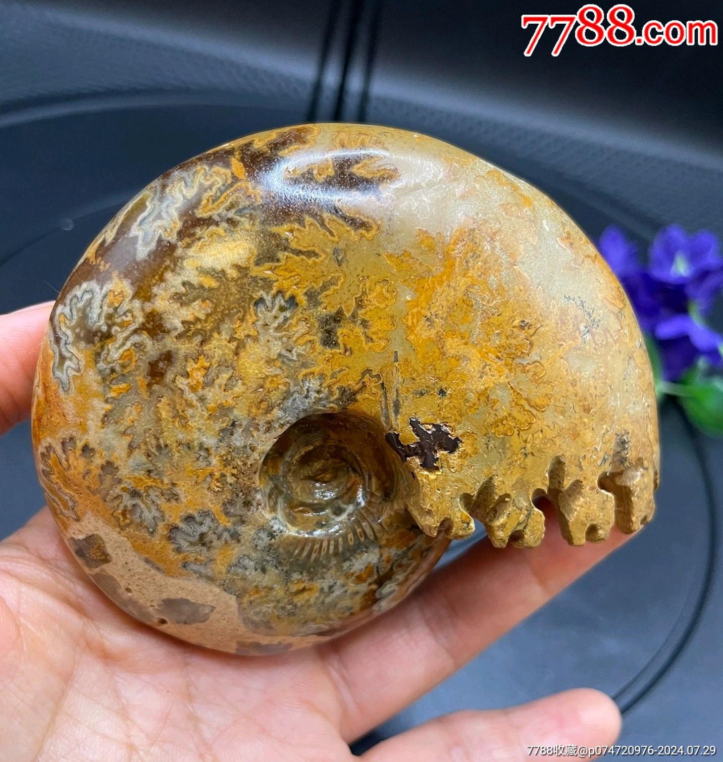 珍品 憧れ 螺化玉 螺化石
