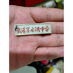 武汉墨水湖中学