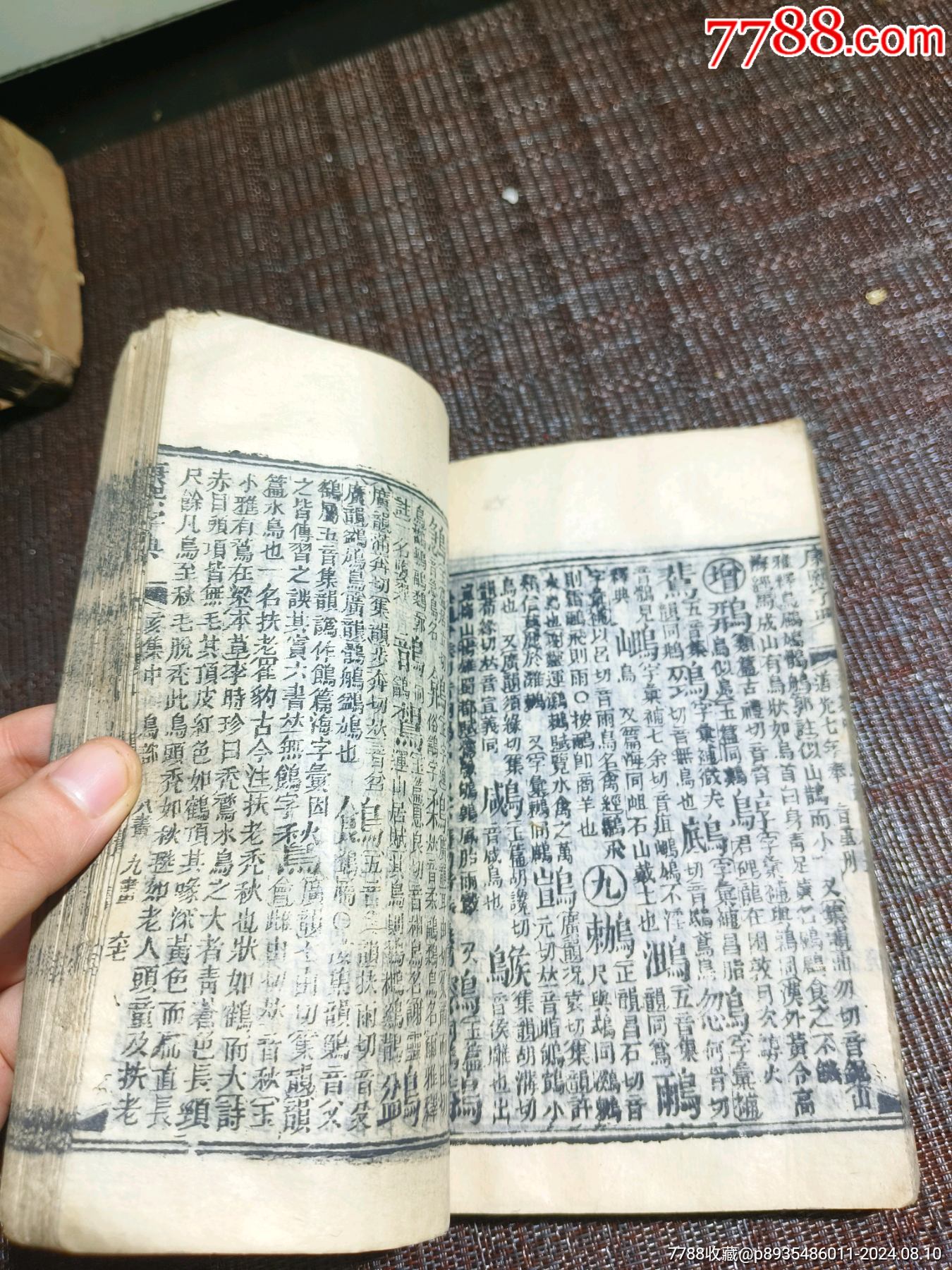 《康熙字典》道光七年40本完整一整套_價格1500元【江西鄉(xiāng)巴佬】_第10張_