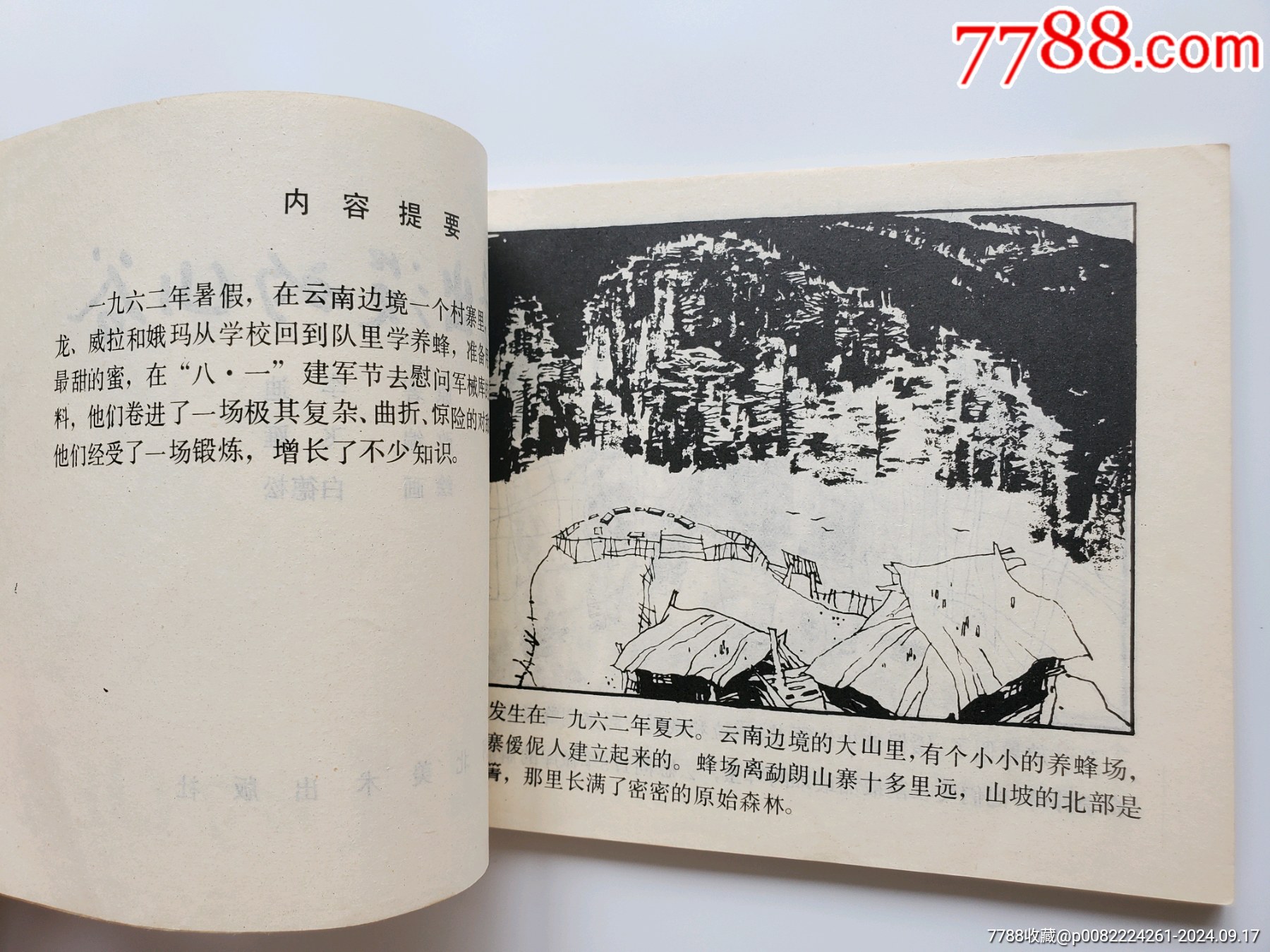 野蜂出沒的山谷_價(jià)格863元_第5張_