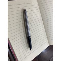 永生钢笔一支