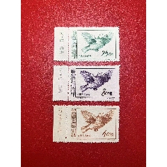 紀(jì)24和平鴿數(shù)字銘