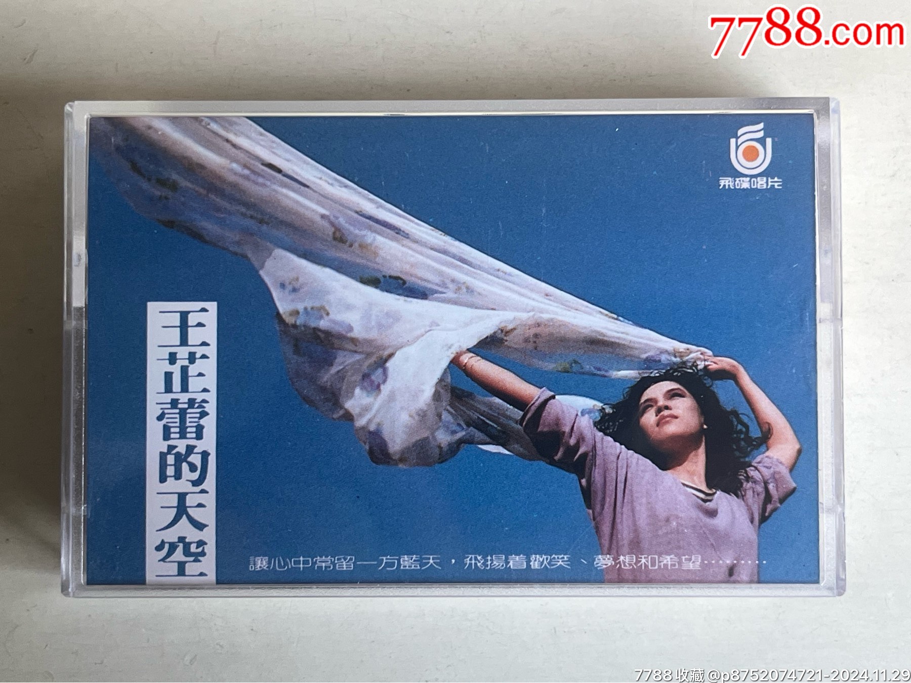 王芷蕾台北的天空