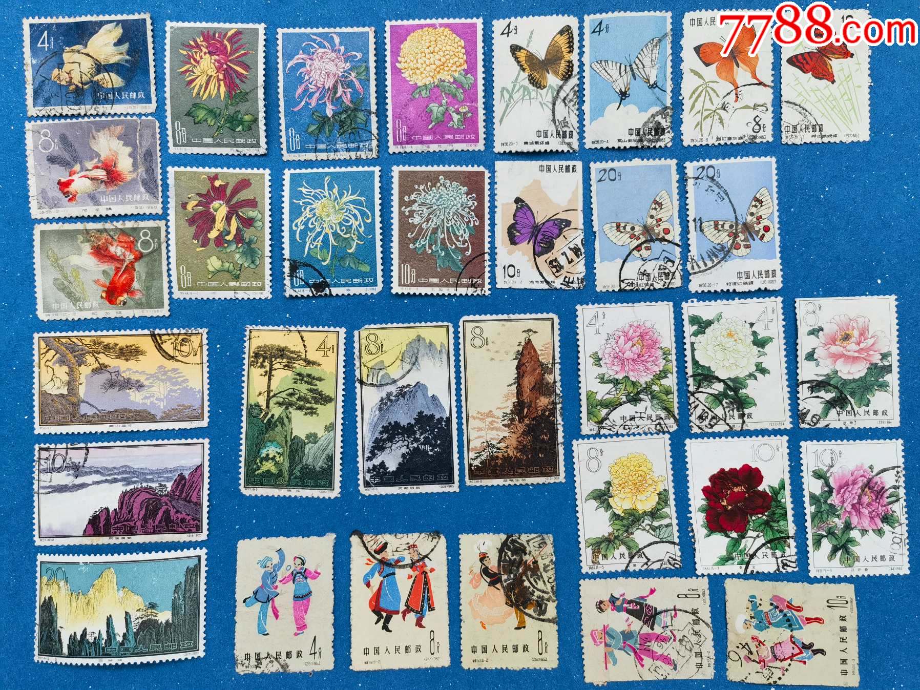 老纪特五朵金花信销一组_乡村收藏铺【7788商城__七七八八商品交易